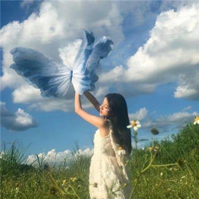 夏绿蒂的网2 韦柏历险记